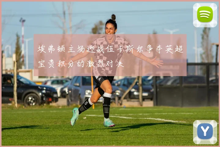 埃弗顿主场迎战伍卡斯尔争夺英超宝贵积分的激烈对决