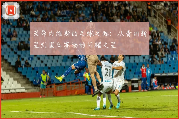 若昂内维斯的足球之路：从青训新星到国际赛场的闪耀之星