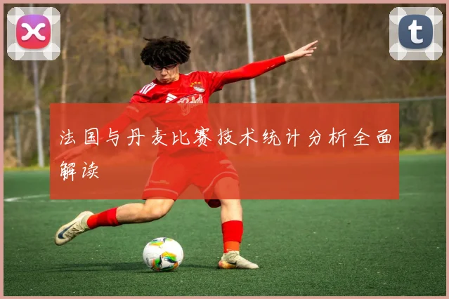 法国与丹麦比赛技术统计分析全面解读